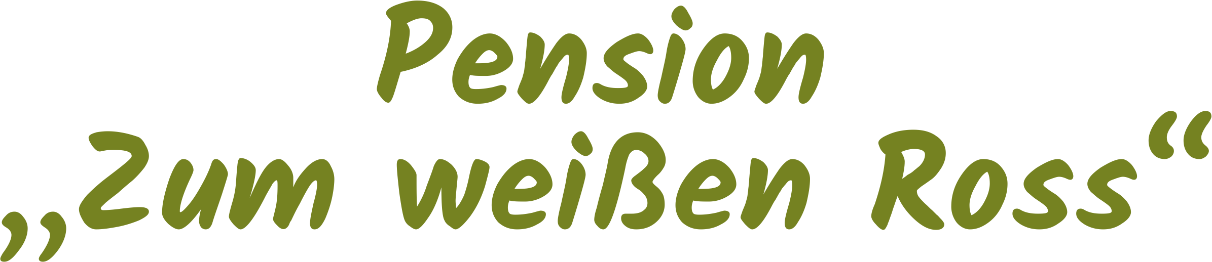 Pension "Zum weißen Ross" in Lohsa